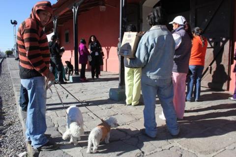 Inicia en Chiautempan semana de vacunación antirrábica imagen 2