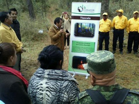 Se producen en Tlaxcala 4.5 millones plantas al año para reforestación
