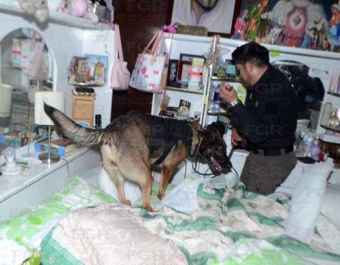 Aseguran más de 300 dosis de droga durante el cateo a un inmueble en Apizaco imagen 1