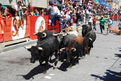 Verificará Coeprist permisos de venta de alcohol previo a la Huamantlada