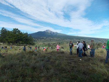 Realizan reforestación en Ixtenco, Tlaxcala