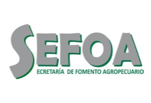 Particular pide intervención de Congreso para cobrar deuda