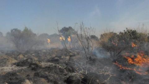Cerca de 15 hectáreas fueron consumidas por el fuego en Ixtacuixtla imagen 2