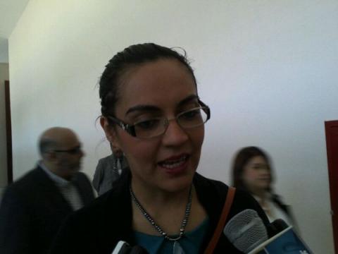 Incipiente práctica de inclusión laboral de empresas en Tlaxcala