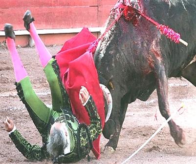 El Pana no volverá a caminar tras embestida