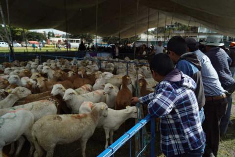 Alcalde de Calpulalpan entrega apoyos por casi 4 mdp en beneficio de campesinos imagen 3