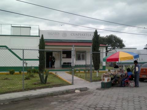 En Cuapiaxtla fuerte granizada azotó cultivos imagen 2