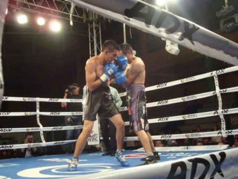 Escuela Municipal de Box de Calpulalpan visitará Consejo Mundial de Boxeo imagen 4