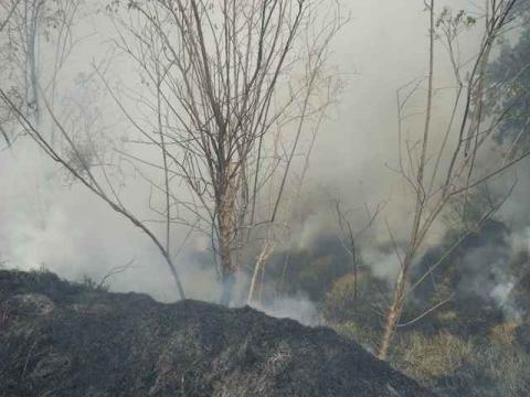 Sofocan incendio en límites de Totolac y Panotla imagen 3