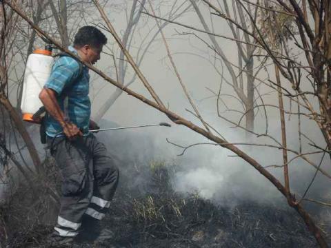 Sofocan incendio en límites de Totolac y Panotla imagen 4
