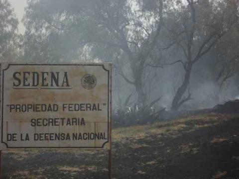 Sofocan incendio en límites de Totolac y Panotla imagen 5