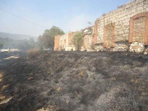 Sofocan incendio en límites de Totolac y Panotla imagen 7