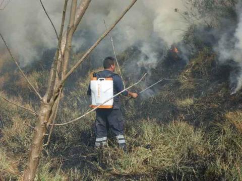 Sofocan incendio en límites de Totolac y Panotla imagen 8
