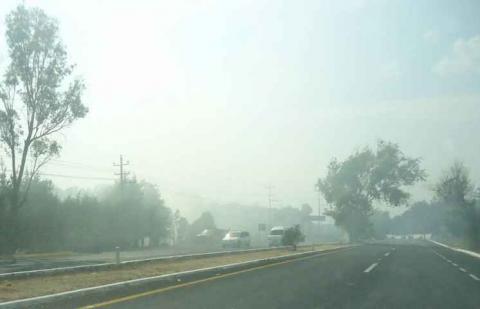 Sofocan incendio en límites de Totolac y Panotla imagen 10