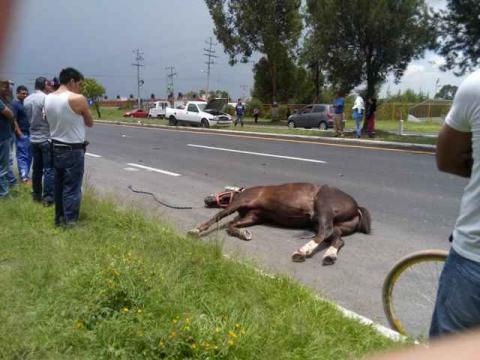Aparatoso accidente en la carretera de la muerte imagen 4