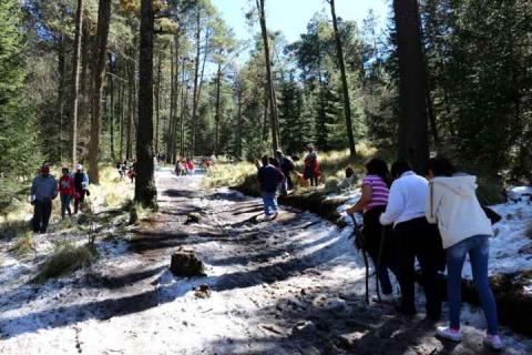 Llegan cientos de visitantes a la nieva de la Malintzi imagen 16