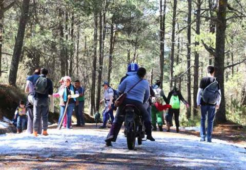 Llegan cientos de visitantes a la nieva de la Malintzi imagen 17