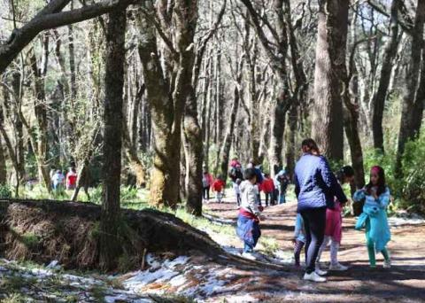 Llegan cientos de visitantes a la nieva de la Malintzi imagen 19