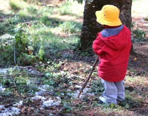 Llegan cientos de visitantes a la nieva de la Malintzi imagen 20