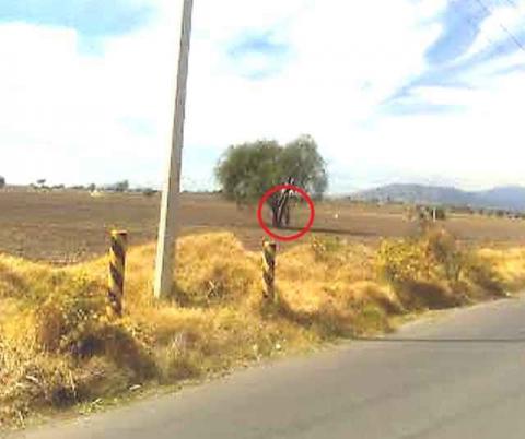 Ubican cadáver colgado de un árbol en Calpulalpan