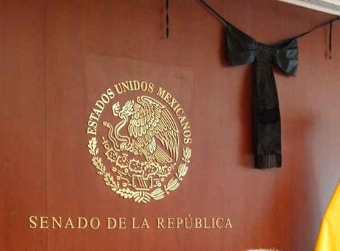 Lorena Cuéllar se suma a condena del GPPRD del Senado por asesinato de fotoperiodista
