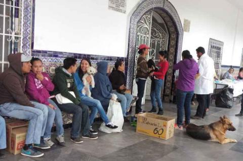 Se realizó campaña de esterilización en Xicohtzinco imagen 1