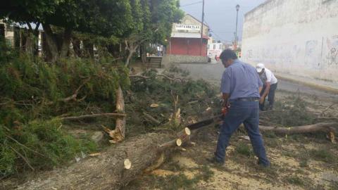 Saldo blanco tras paso de tornado en Chiautempan imagen 1
