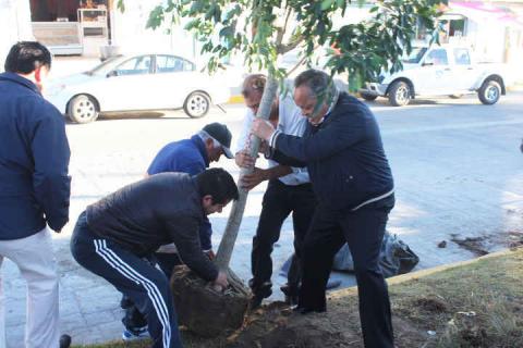 Encabeza JAAL trabajos de mantenimiento urbano imagen 4