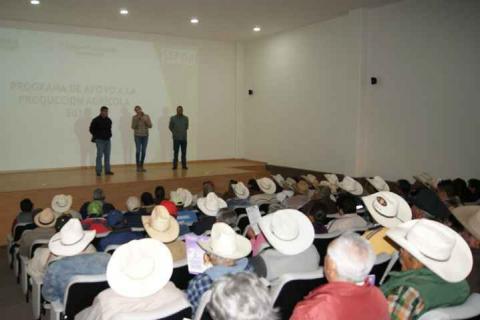 Lilia Caritina Olvera acerca apoyos de maguey a productores agrícolas imagen 3