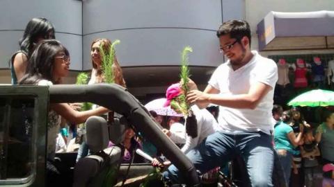Cuarto regidor de Chiautempan inicia campaña de donación de arboles imagen 4
