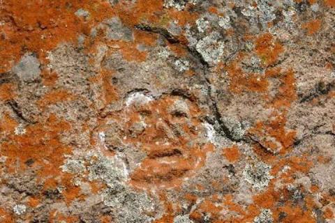 Gritos silenciosos y mirada de piedra es el arte rupestre en Tlaxcala imagen 4