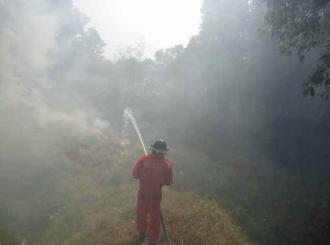 Sofocan incendio en límites de Totolac y Panotla imagen 1