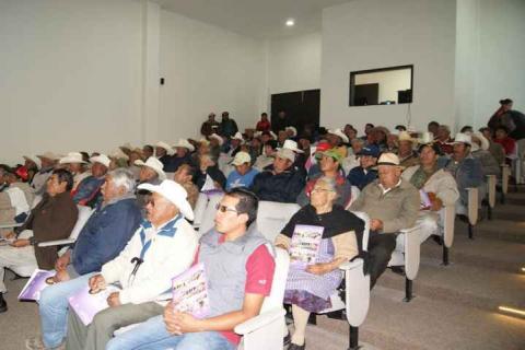 Lilia Caritina Olvera acerca apoyos de maguey a productores agrícolas imagen 2