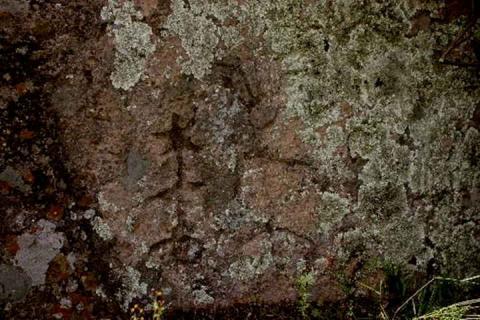 Gritos silenciosos y mirada de piedra es el arte rupestre en Tlaxcala imagen 5
