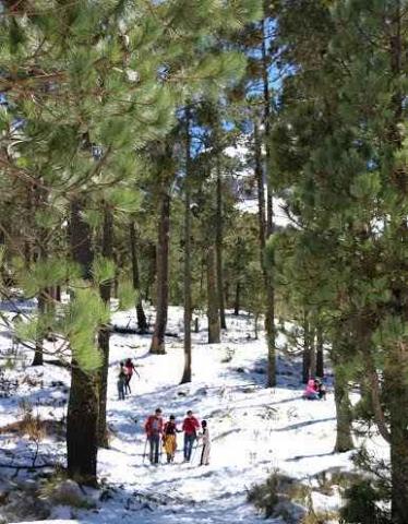 Llegan cientos de visitantes a la nieva de la Malintzi imagen 10