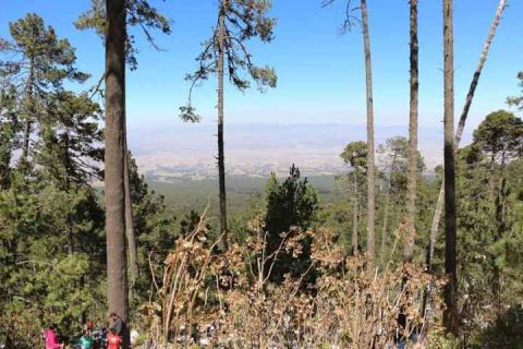 Llegan cientos de visitantes a la nieva de la Malintzi imagen 11