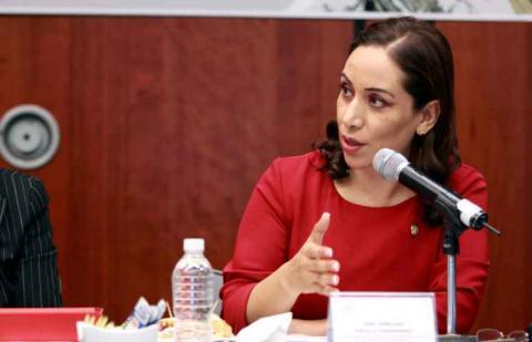 Presenta CNDH en Senado avances sobre caso Iguala y del sistema penitenciario del país imagen 3