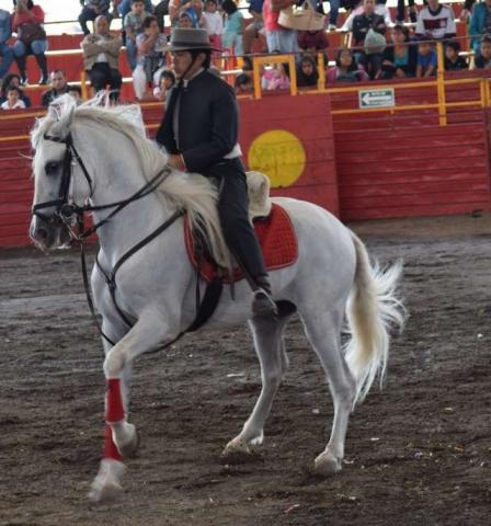Caballos Domecq se presentan en la Feria Chiautempan 2016 imagen 2