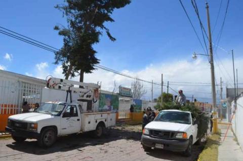 Reportan saldo blanco en Calpulalpan por fuertes vientos imagen 1