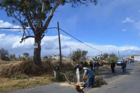 Reportan saldo blanco en Calpulalpan por fuertes vientos imagen 5