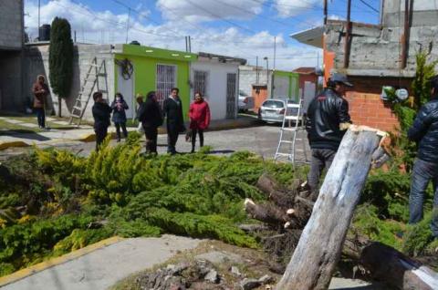 Reportan saldo blanco en Calpulalpan por fuertes vientos imagen 10