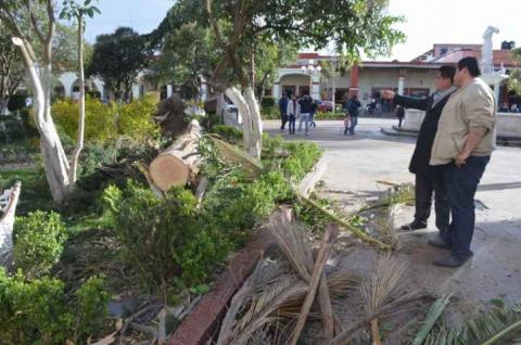 Reportan saldo blanco en Calpulalpan por fuertes vientos imagen 20