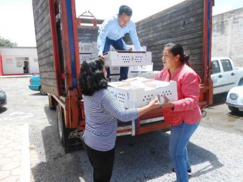 SNDIF de Xicohtzinco incentiva a pequeños productores imagen 1