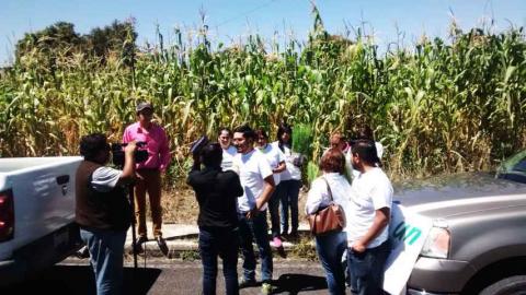 Continúa Regidor Carlos Escobar con campaña de Reforestación en Chiautempan imagen 1