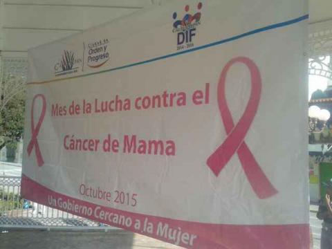 Marchan en Calpulalpan en conmemoración del mes contra Cáncer de Mama imagen 9