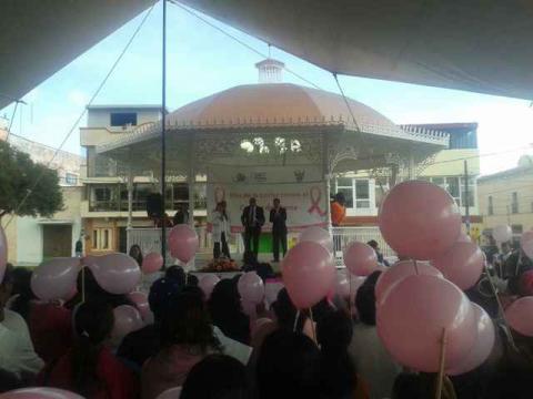 Marchan en Calpulalpan en conmemoración del mes contra Cáncer de Mama imagen 6