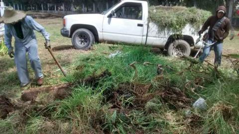 Ayuntamiento realiza faenas de limpieza en los 6 panteones imagen 2