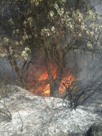 Sofoca PC Calpulalpan constantes incendios forestales imagen 2