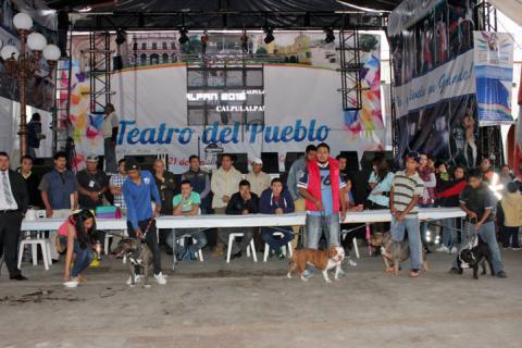 Despierta admiración Exhibición Canina en Feria “San Antonio Calpulalpan 2015” imagen 1