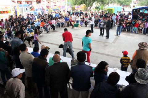 Despierta admiración Exhibición Canina en Feria “San Antonio Calpulalpan 2015” imagen 3